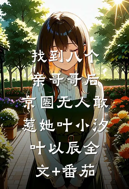 找到八个亲哥哥后，京圈无人敢惹她叶小汐叶以辰全文+番茄