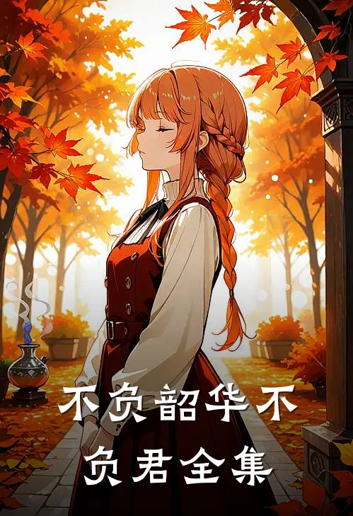 不负韶华不负君 全集