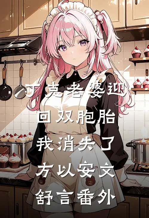丁克老婆迎回双胞胎，我消失了方以安文舒言番外