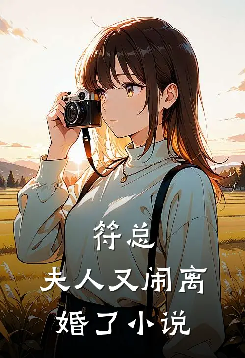 符总,夫人又闹离婚了全文阅读