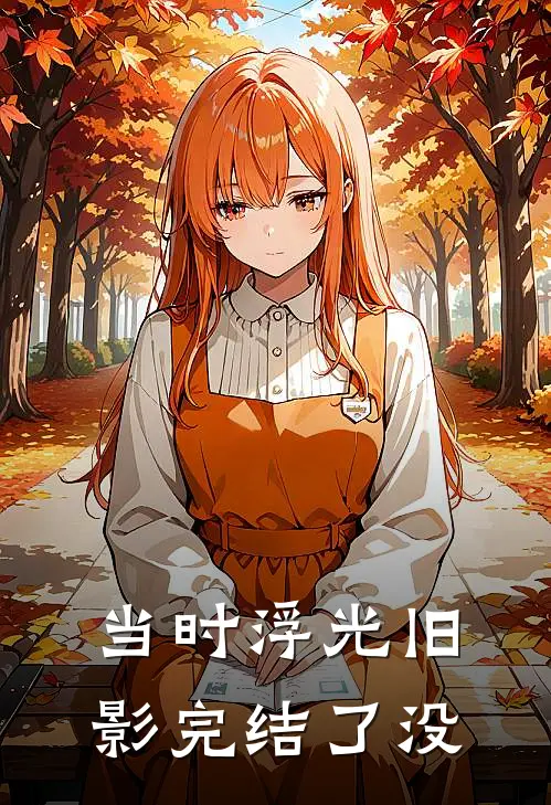 当时浮光旧影完结了没