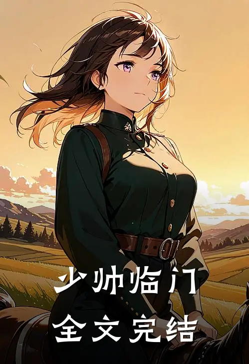 少帅临门全文完结