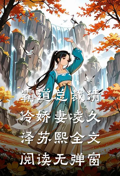 霸道总裁清冷娇妻凌久泽苏熙全文阅读无弹窗