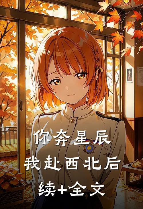 你奔星辰，我赴西北后续+全文