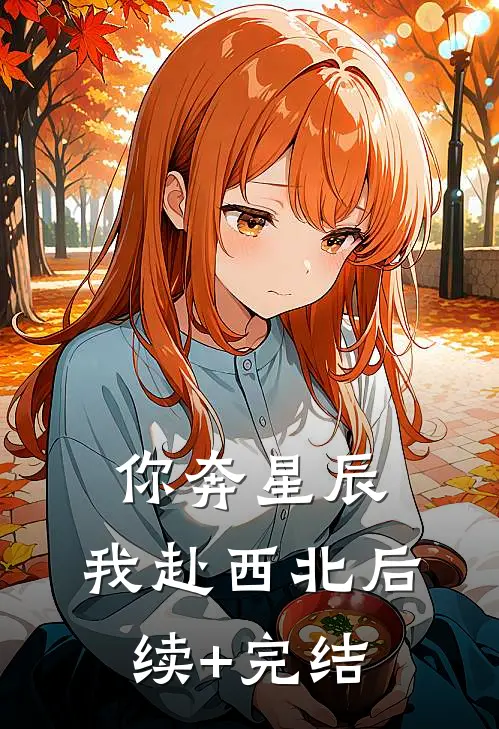 你奔星辰，我赴西北后续+完结