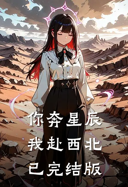 你奔星辰，我赴西北已完结版