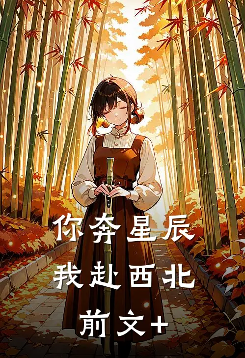 你奔星辰，我赴西北前文+