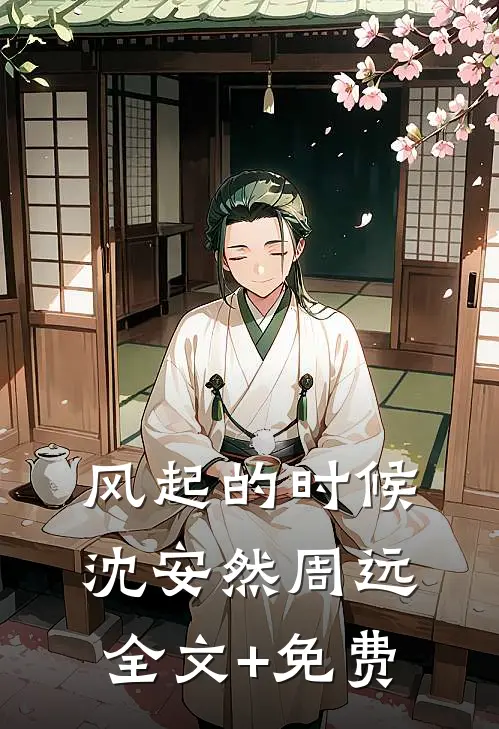 风起的时候沈安然周远全文+免费