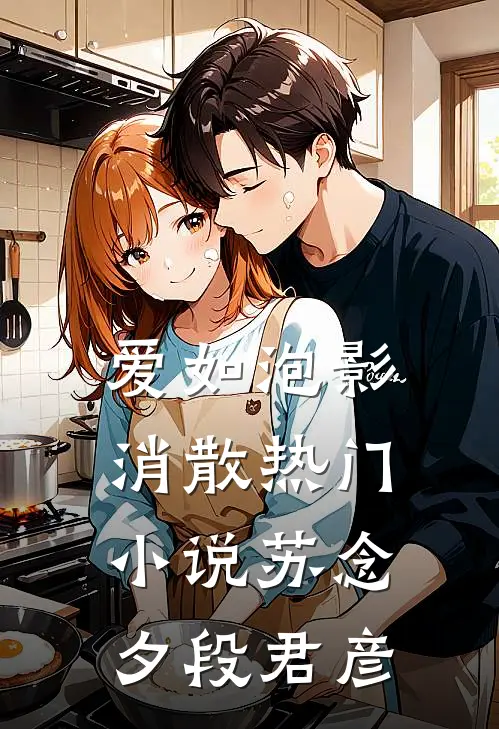 爱如泡影消散热门小说苏念夕段君彦