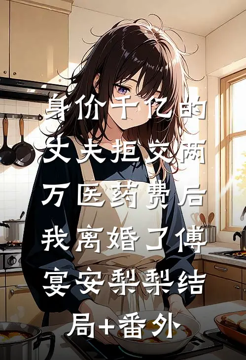 身价千亿的丈夫拒交两万医药费后，我离婚了傅宴安梨梨结局+番外