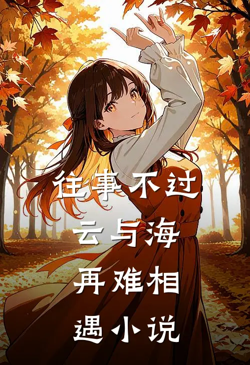 往事不过云与海，再难相遇小说