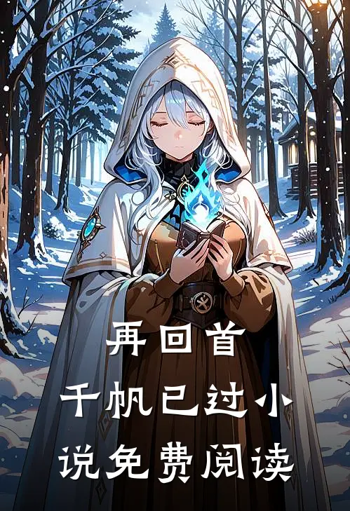 再回首，千帆已过小说免费阅读