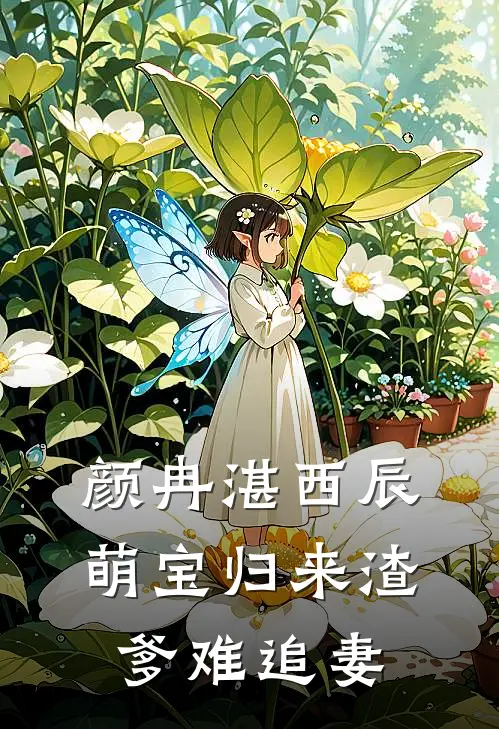 颜冉湛西辰萌宝归来渣爹难追妻