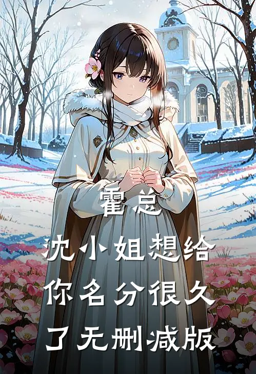 霍总，沈小姐想给你名分很久了无删减版