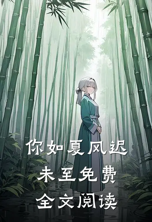 你如夏风迟未至免费全文阅读