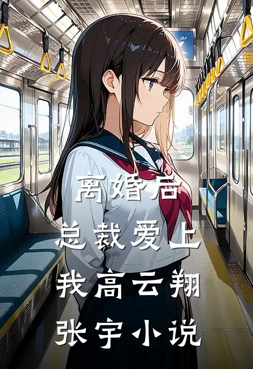 离婚后，总裁爱上我高云翔张宇小说
