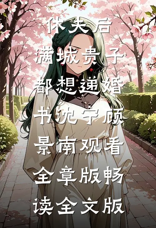 休夫后，满城贵子都想递婚书沈宁顾景南观看全章版畅读全文版