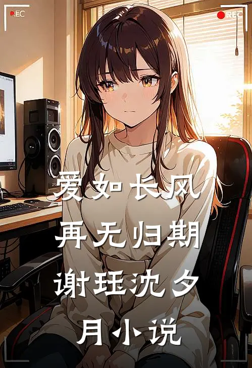 爱如长风，再无归期谢珏沈夕月小说