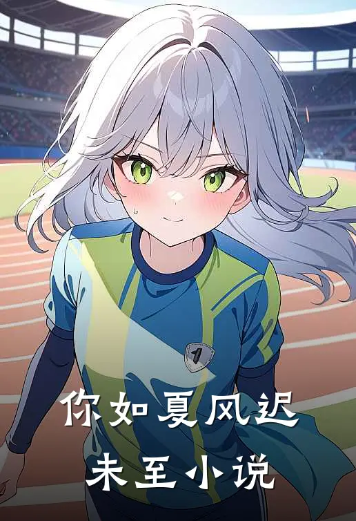 你如夏风迟未至小说