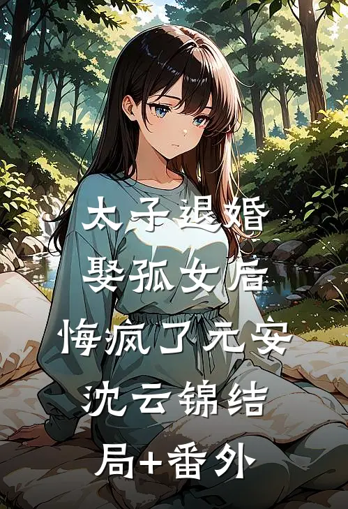 太子退婚娶孤女后，悔疯了元安沈云锦结局+番外