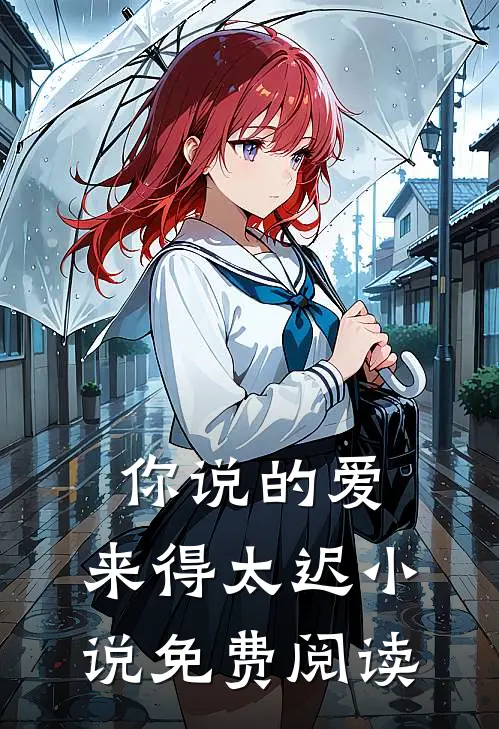 你说的爱，来得太迟小说免费阅读